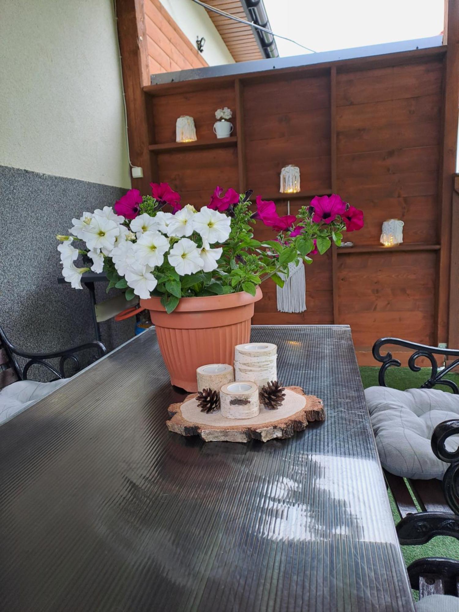 U Beaty, Niezalezne Mieszkania Do Wynajecia Ochotnica Górna Exterior foto